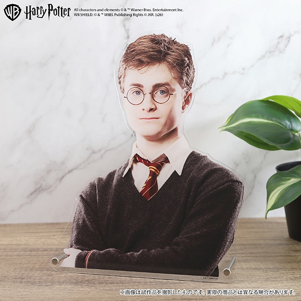 [Pre-order] [Made to Order] Harry Potter Extra Large Die-Cut Acrylic Panel (Harry Potter)